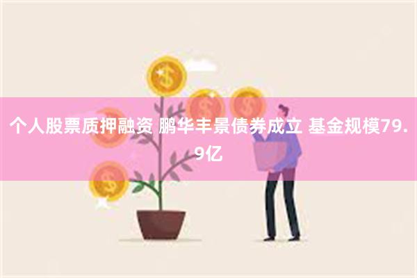 个人股票质押融资 鹏华丰景债券成立 基金规模79.9亿