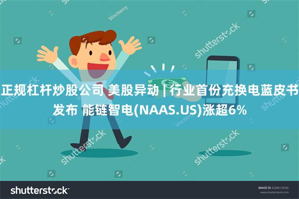 正规杠杆炒股公司 美股异动 | 行业首份充换电蓝皮书发布 能链智电(NAAS.US)涨超6%