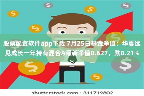 股票配资软件app下载 7月25日基金净值：华夏远见成长一年持有混合A最新净值0.627，跌0.21%