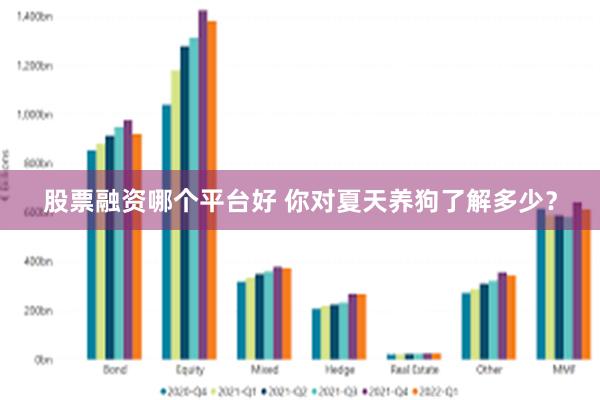 股票融资哪个平台好 你对夏天养狗了解多少？