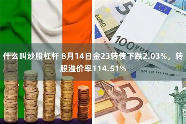 什么叫炒股杠杆 8月14日金23转债下跌2.03%，转股溢价率114.51%