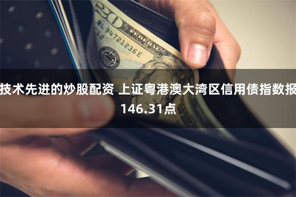 技术先进的炒股配资 上证粤港澳大湾区信用债指数报146.31点