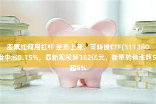 股票如何用杠杆 逆势上涨，可转债ETF(511380)盘中涨0.15%，最新规模超182亿元，新星转债涨超5%