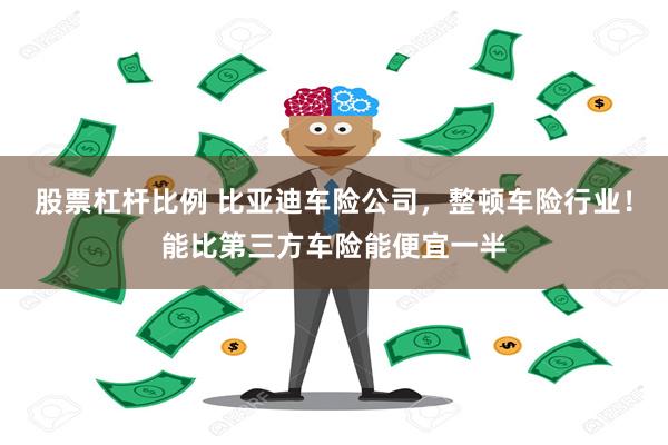 股票杠杆比例 比亚迪车险公司，整顿车险行业！能比第三方车险能便宜一半