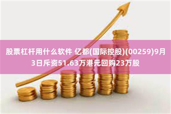 股票杠杆用什么软件 亿都(国际控股)(00259)9月3日斥资51.63万港元回购23万股