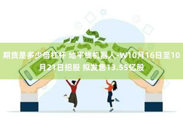 期货是多少倍杠杆 地平线机器人-W10月16日至10月21日招股 拟发售13.55亿股