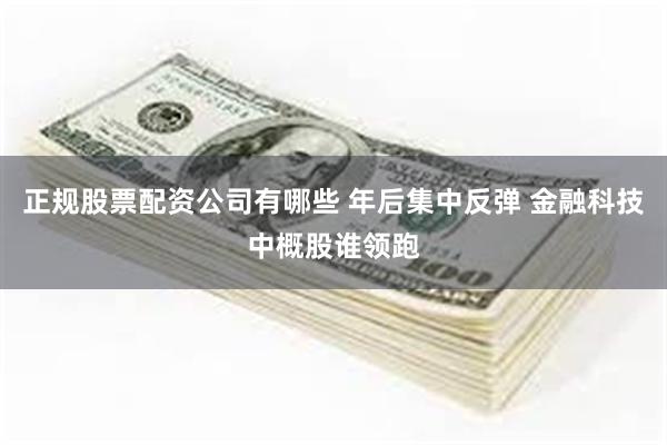 正规股票配资公司有哪些 年后集中反弹 金融科技中概股谁领跑