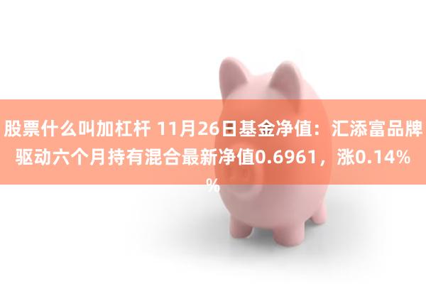 股票什么叫加杠杆 11月26日基金净值：汇添富品牌驱动六个月持有混合最新净值0.6961，涨0.14%