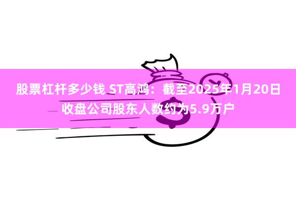 股票杠杆多少钱 ST高鸿：截至2025年1月20日收盘公司股东人数约为5.9万户