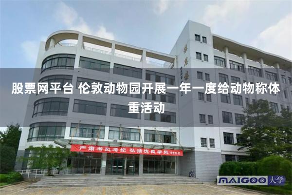 股票网平台 伦敦动物园开展一年一度给动物称体重活动