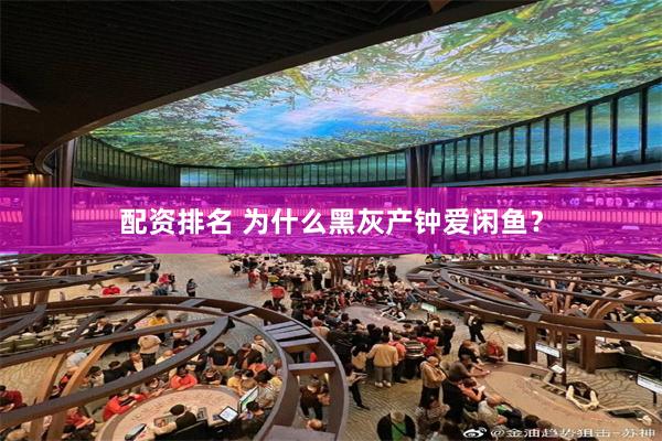 配资排名 为什么黑灰产钟爱闲鱼？